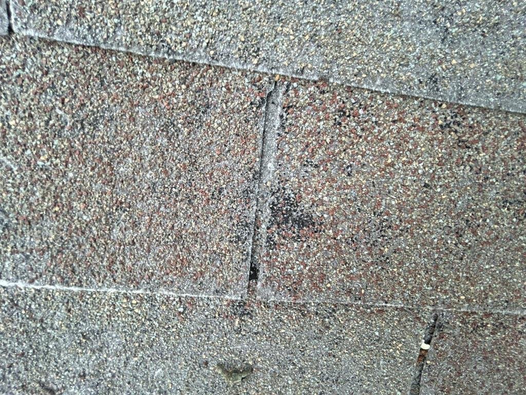 Hail bruise on a shingle